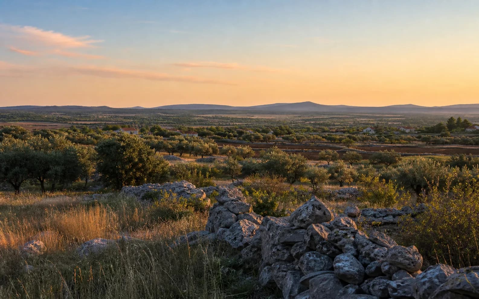 Illustrative photo for Donji Kašić, Benkovac: a wide view of an open Dalmatian hinterland landscape.
