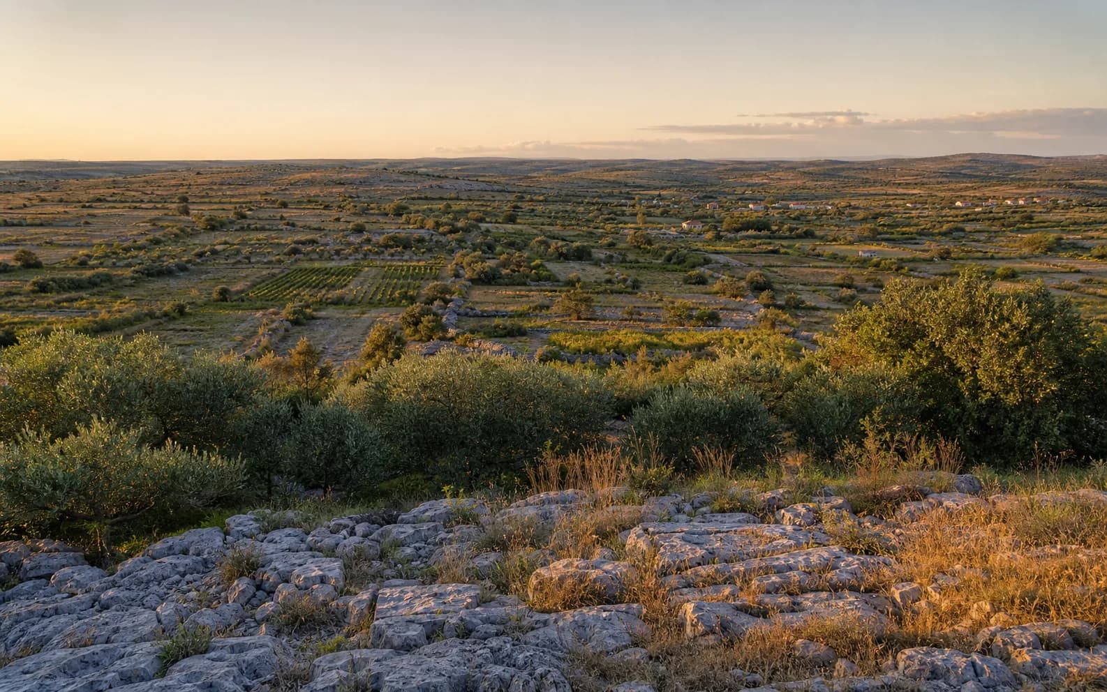 Illustratives Foto für Gornje Ceranje, Benkovac: weiter Blick auf eine offene dalmatinische Hinterlandlandschaft.