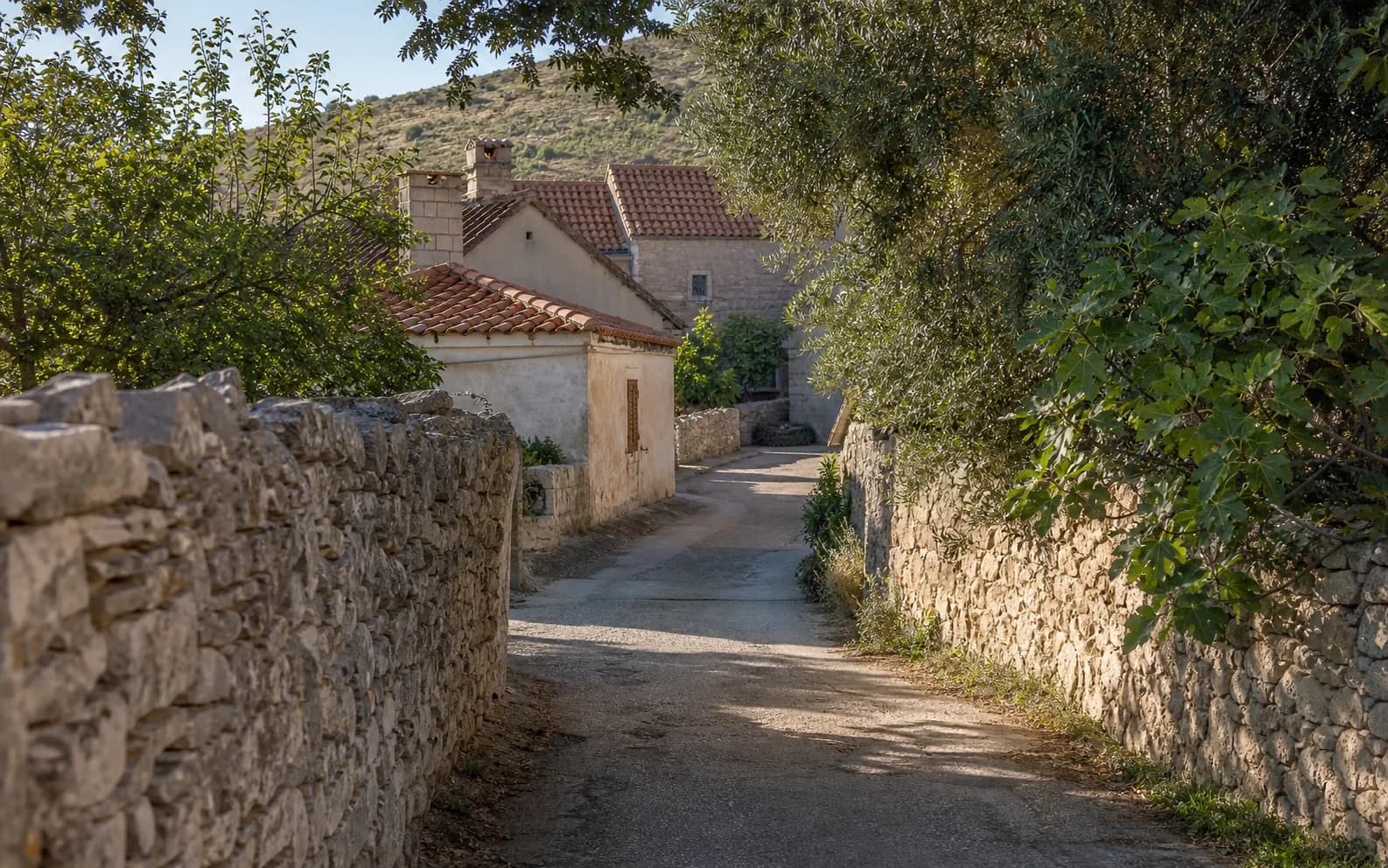 Illustratives Foto für Gornje Ceranje, Benkovac: ruhige Dorfstraße mit natürlichen Steindetails.