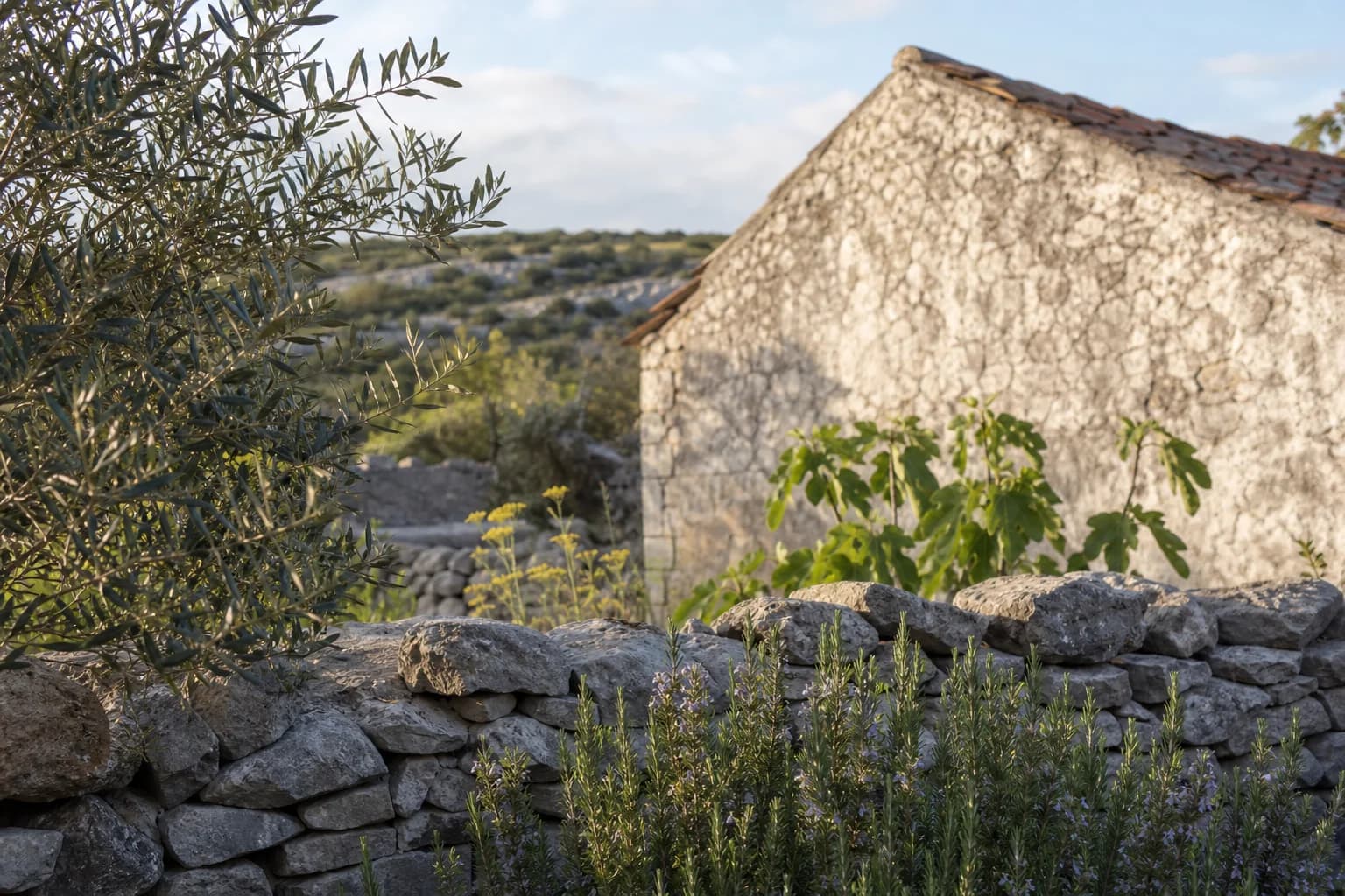 AI ilustrativni stari kameni ruralni eksterijer uz maslinu, ružmarin i suhozid u ambijentu Lepura.