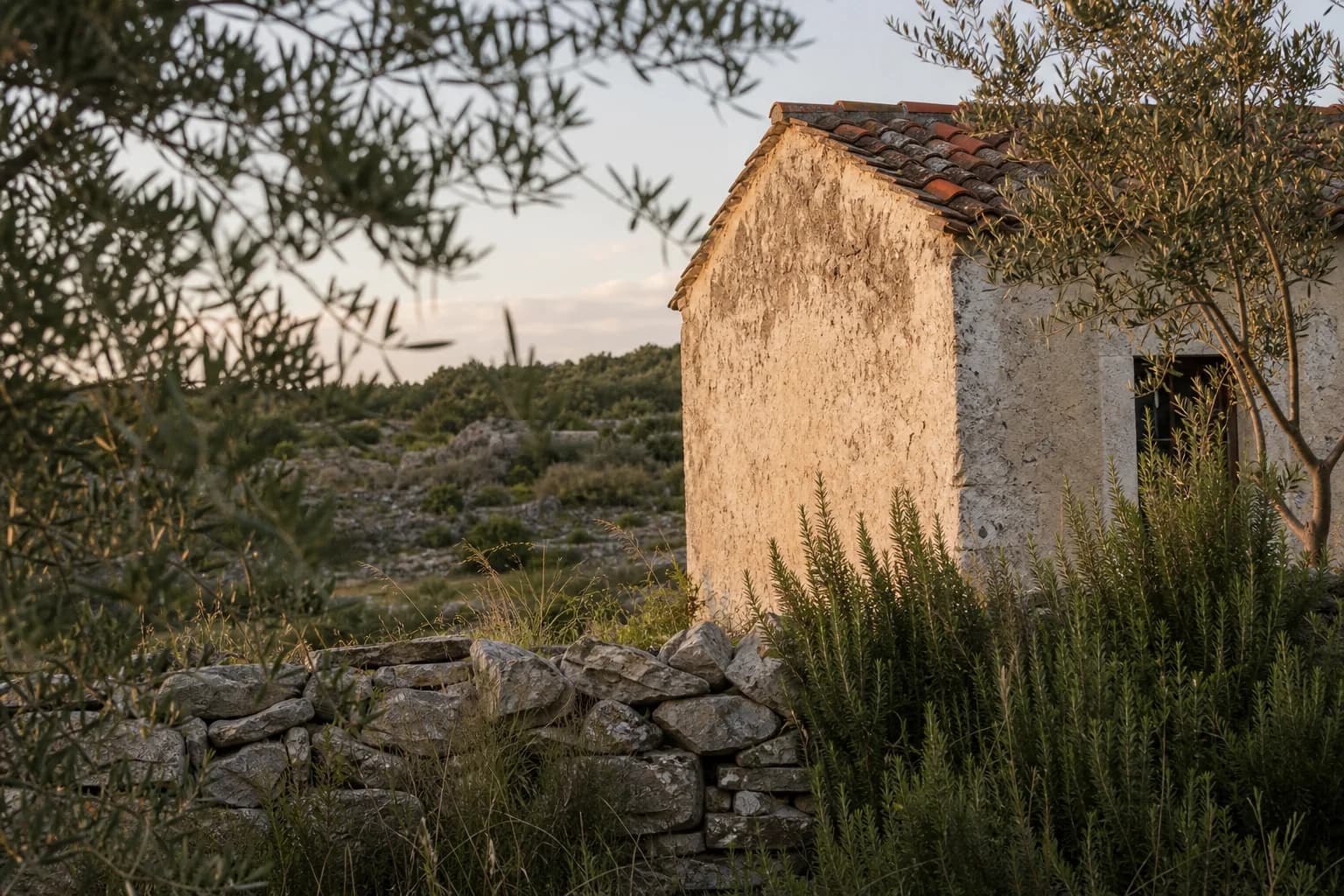 AI ilustrativni skromni kameni eksterijer uz masline, ružmarin i suhozid u ambijentu Perušića Benkovačkog.