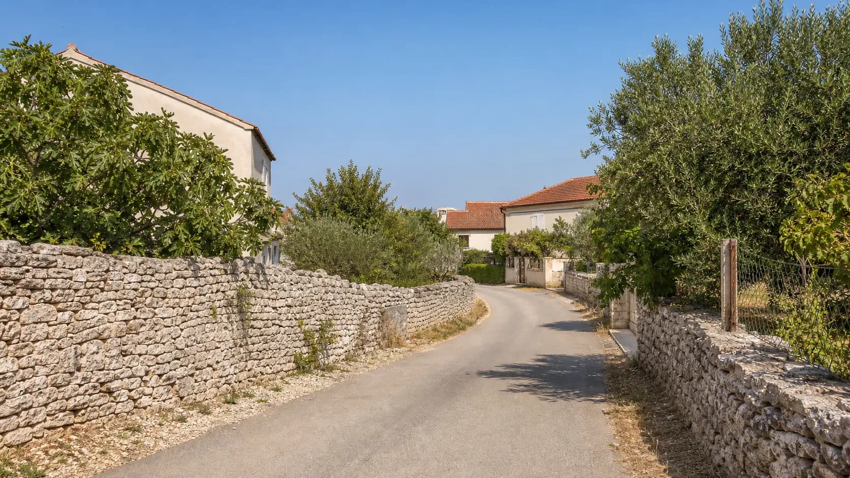 A quiet village lane with dry-stone walls, fig trees, and Mediterranean homes in Galovac.