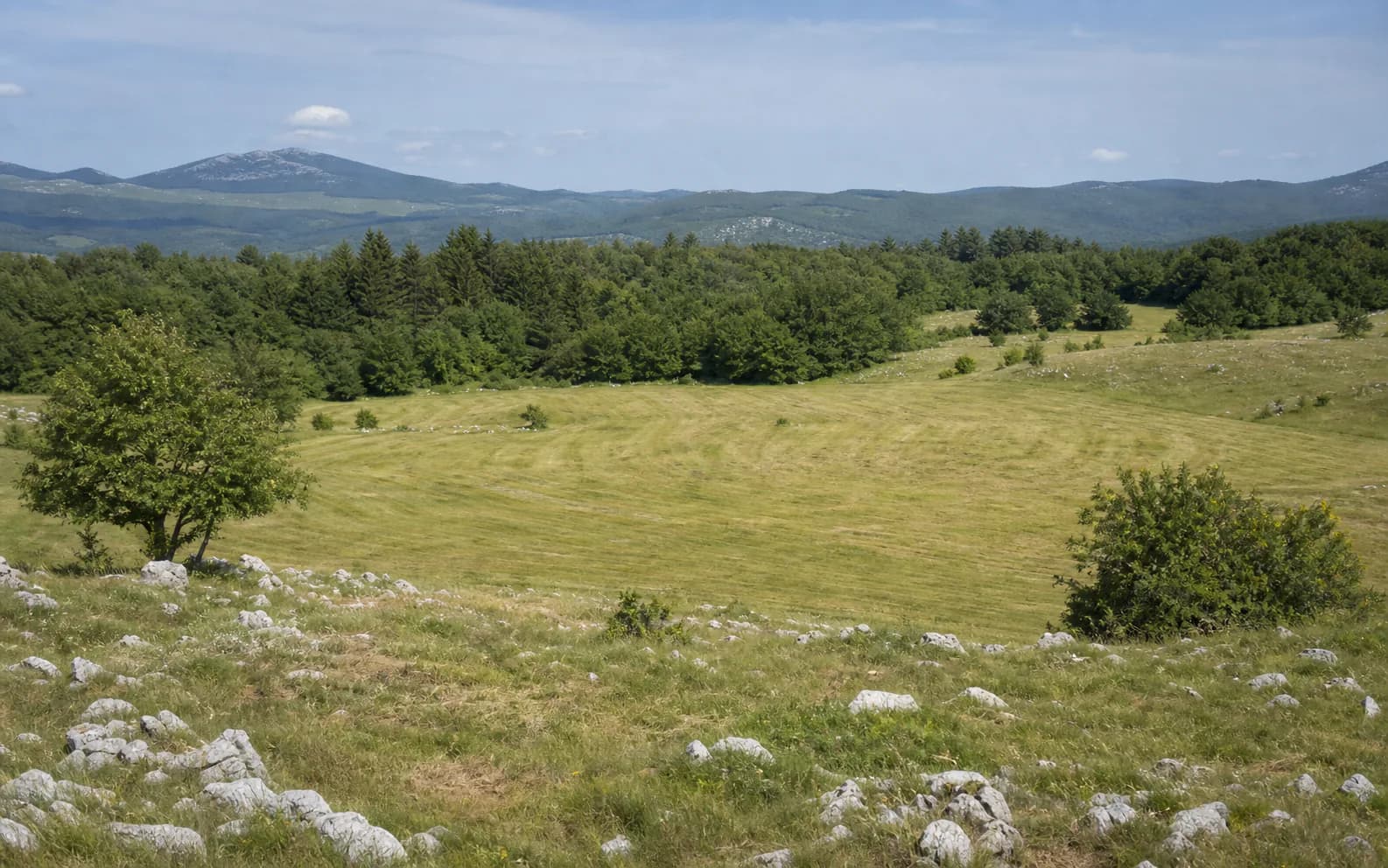 Illustratives Foto für Dabašnica, Gračac: weiter Blick auf eine offene Hochlandlandschaft.