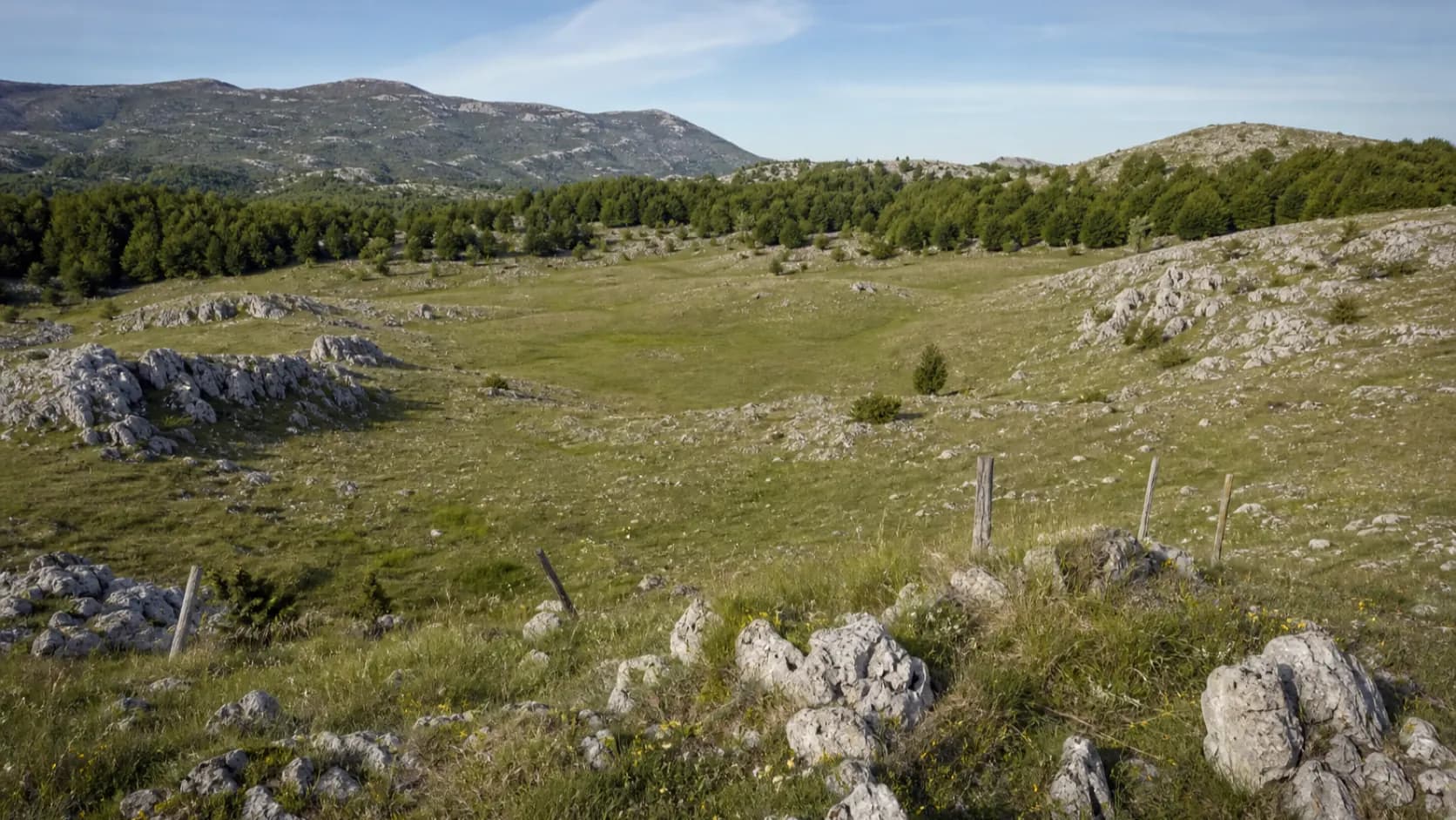 Ilustrativni široki pogled na kršku dolinu, borove i niske kamenite padine u zaleđu Bilišana kod Obrovca.