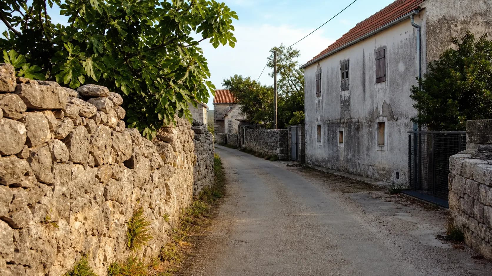 Ilustrativna mirna seoska ulica sa suhozidom, stablom smokve i starijim dalmatinskim kućama u ambijentu Bilišana.