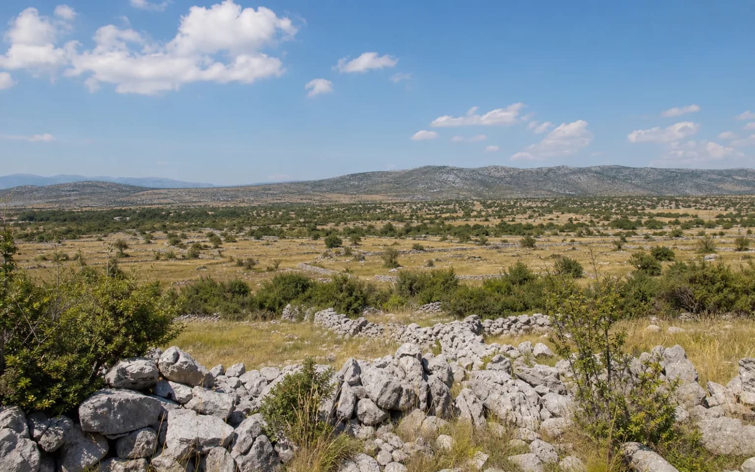 KI-generierter illustrativer Weitblick auf offenen dalmatinischen Karst, Trockenmauern, niedrige Vegetation und sanfte Hügel im Ambiente von Gornji Karin.