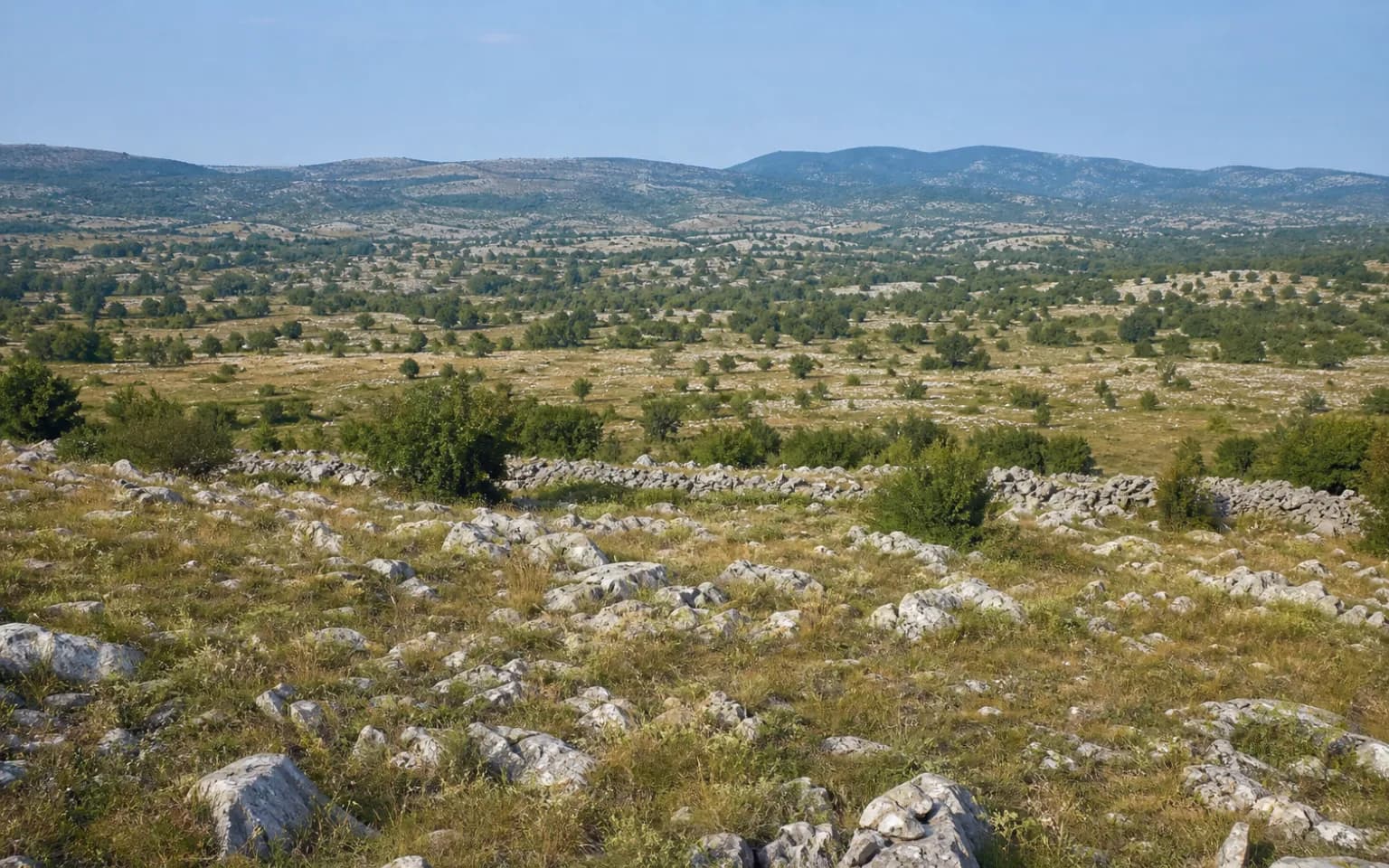AI-generated illustrative wide view of open Dalmatian karst, rocky grassland, dry-stone walls and gentle hills in the Kaštel Žegarski setting.