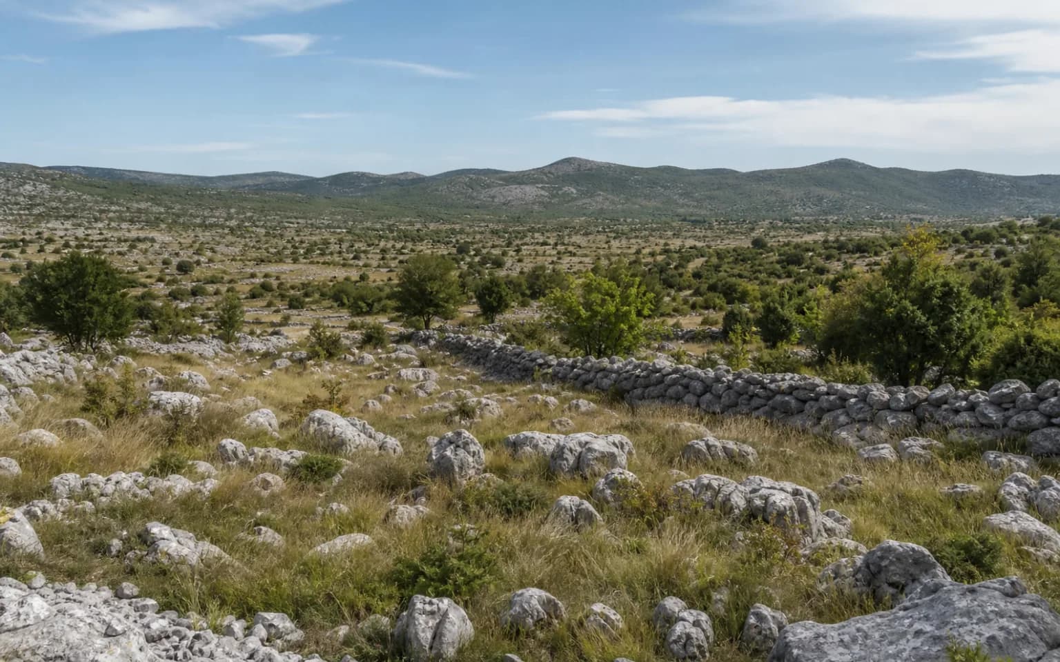 AI-generated illustrative wide view of Dalmatian karst, dry-stone walls, low vegetation and gentle hills in the Krupa setting.