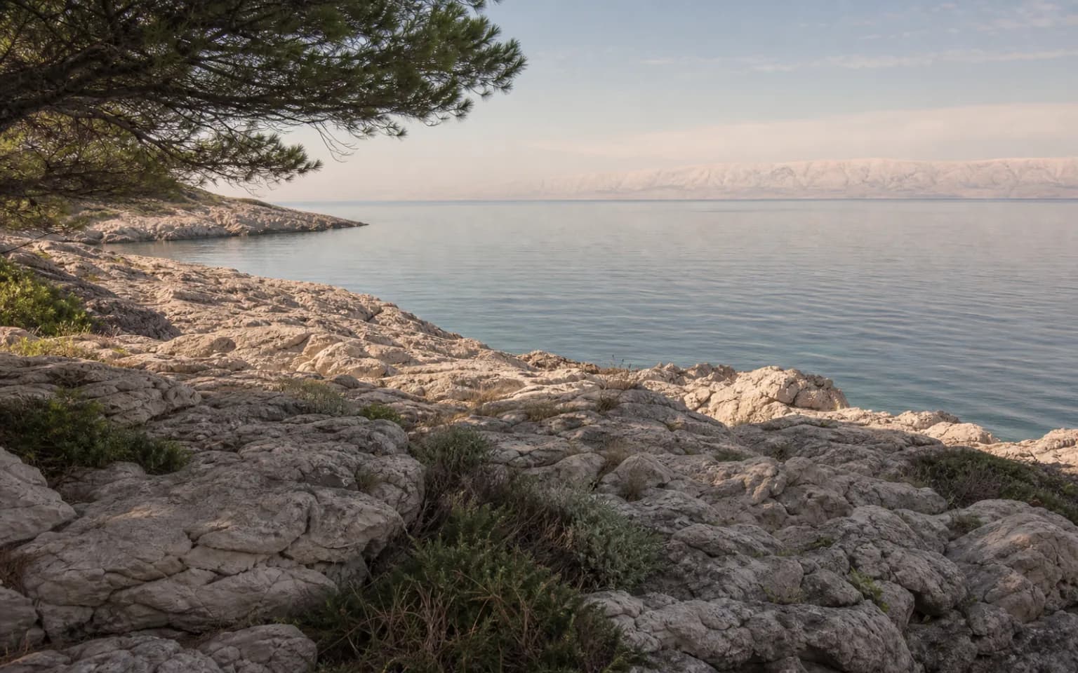 AI-generated illustrative view of a quiet rocky island coast, pine tree and sea in the Smokvica, Pag setting.