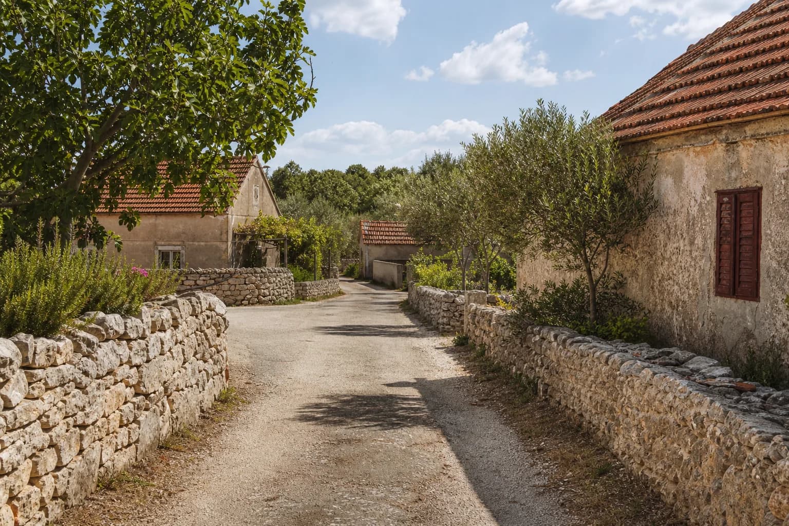 Illustrative photo for Donja Jagodnja, Polača: a quiet village street with natural stone details.