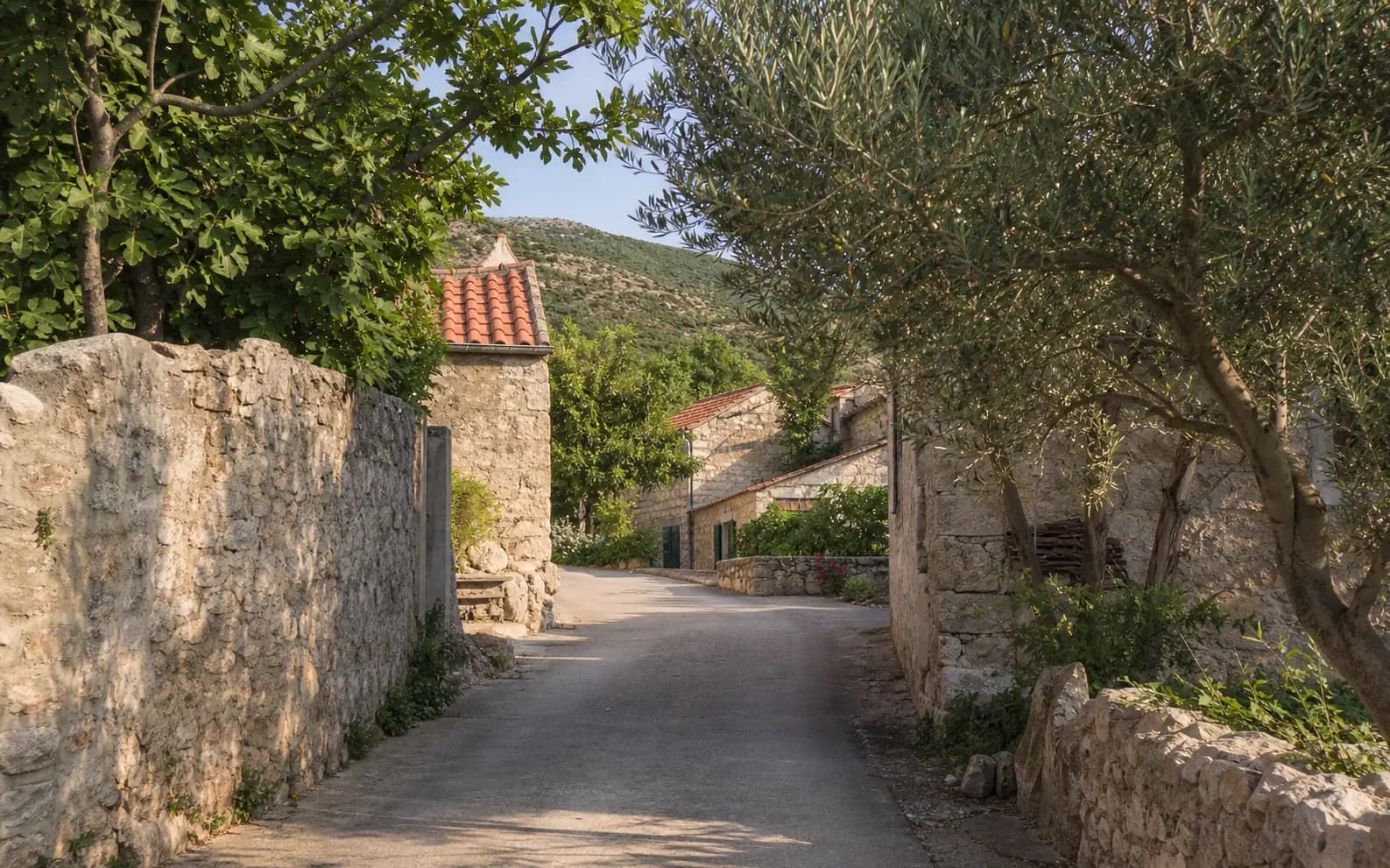 Illustrative quiet village lane with stone homes, fig trees and olives in the Briševo setting.