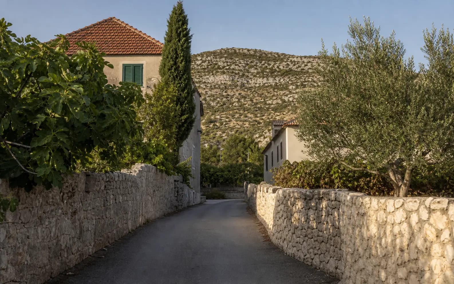 Illustrative ruhige Dorfstraße mit Steinmauern, Olivenbäumen und mediterranen Häusern in Murvica Gornja.