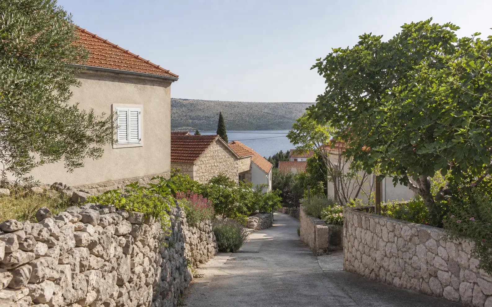 Illustrative quiet stone lane with Mediterranean greenery and distant water in the Vinjerac setting.