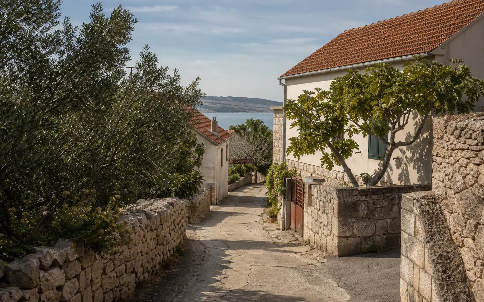 Illustratives Foto für Ždrilo, Posedarje: ruhige Straße in mediterranem Küstenumfeld.
