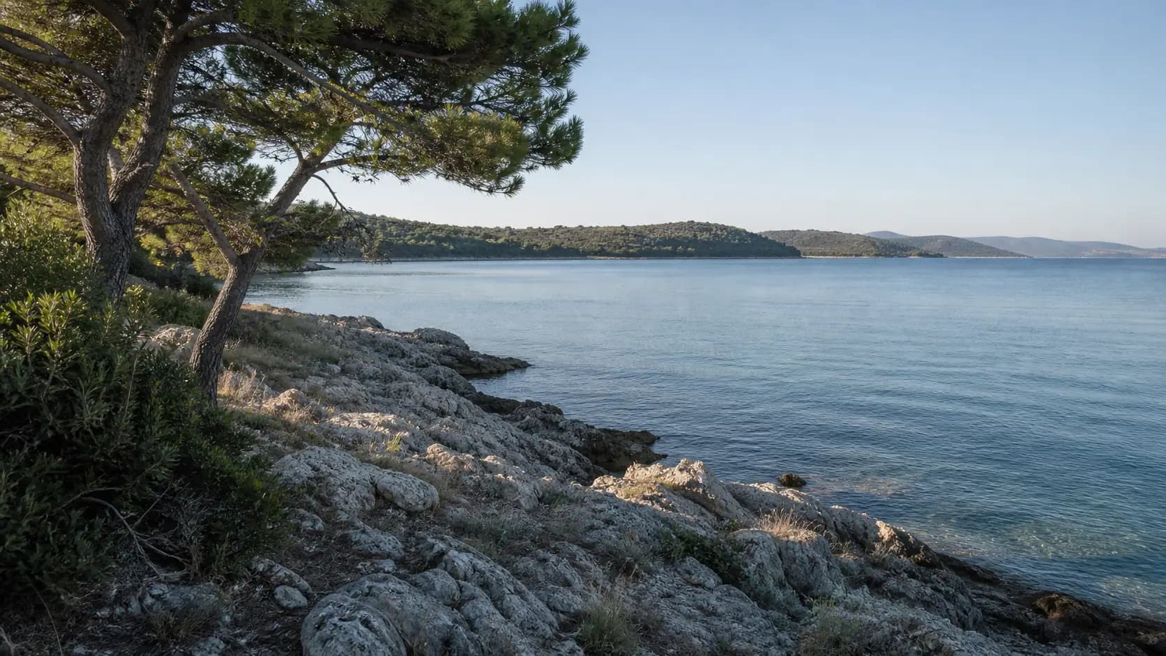 KI-generierte illustrative Ansicht einer felsigen Inselküste mit Pinien und Meer im lokalen Kontext von Poljana.