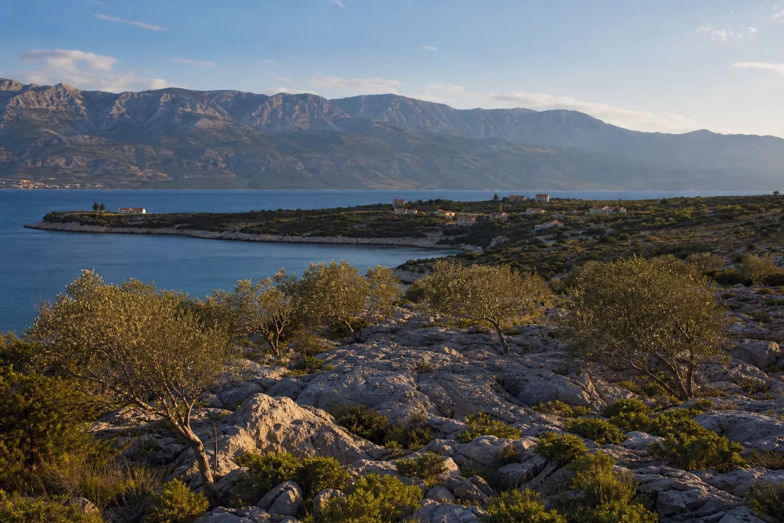 AI ilustrativni široki pogled na obalni krš, masline, mirnu uvalu i Velebit u ambijentu Rtine kod Ražanca.