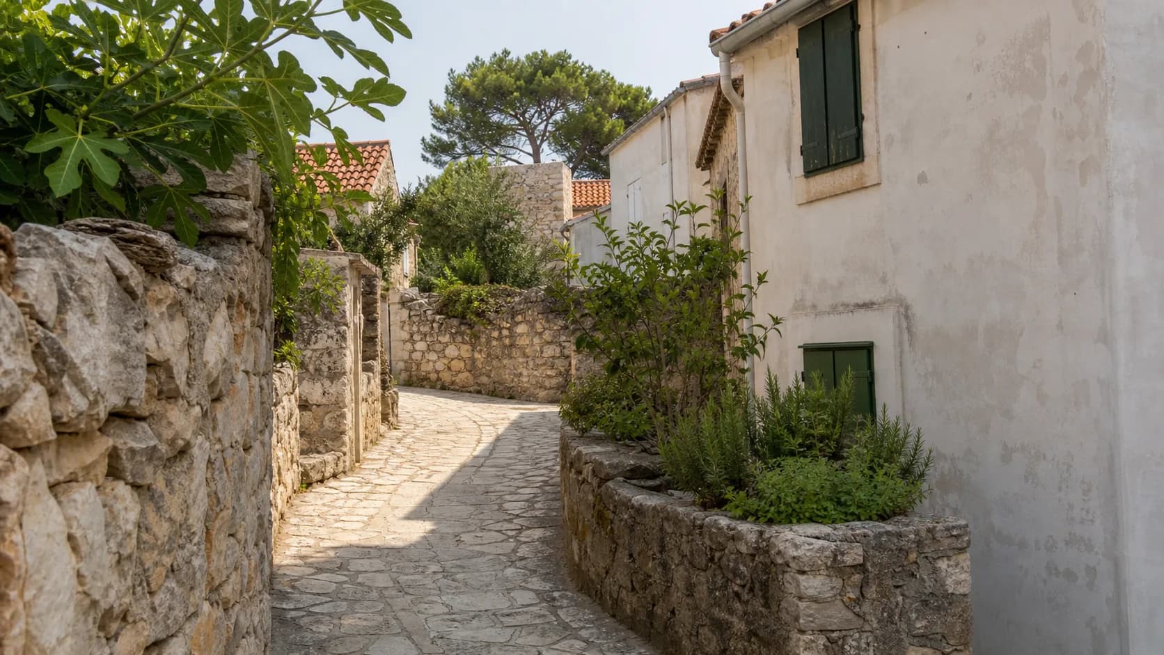 KI-generierte illustrative Steingasse mit mediterranen Fassaden, Feigenbäumen und Grün im Ambiente von Božava.