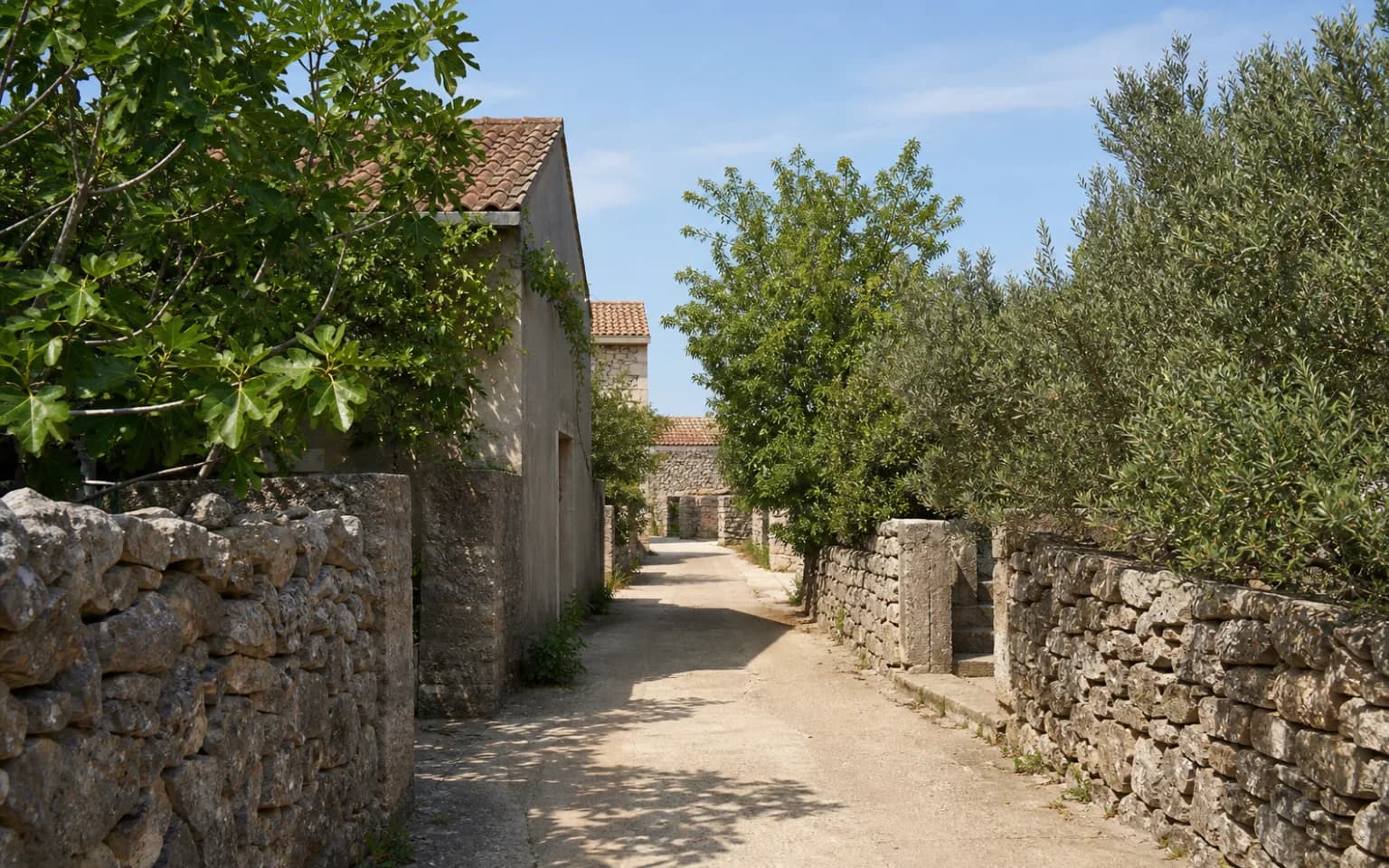 KI-generierte illustrative ruhige Inselgasse mit niedrigen Steinmauern, schlichten Häusern, Feigenbaum und Olivenbäumen im Ambiente von Savar.