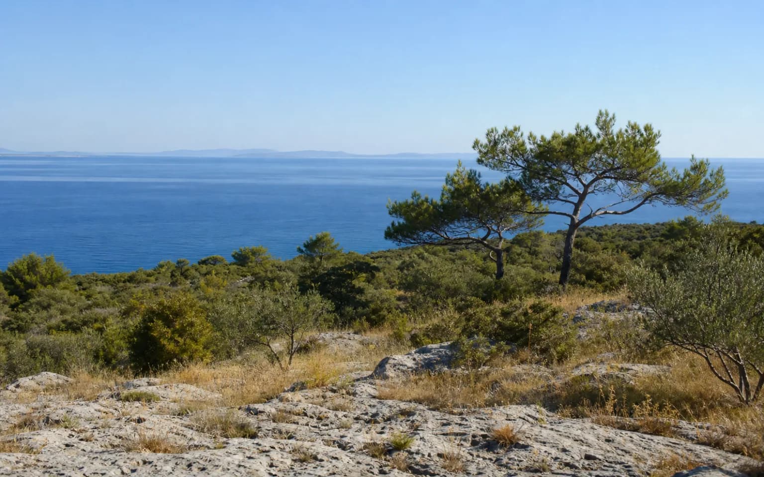 AI ilustrativni široki pogled na mirni otočni krajolik s borovima, niskim raslinjem, vapnencem i Jadranskim morem u ambijentu Velog Rata.