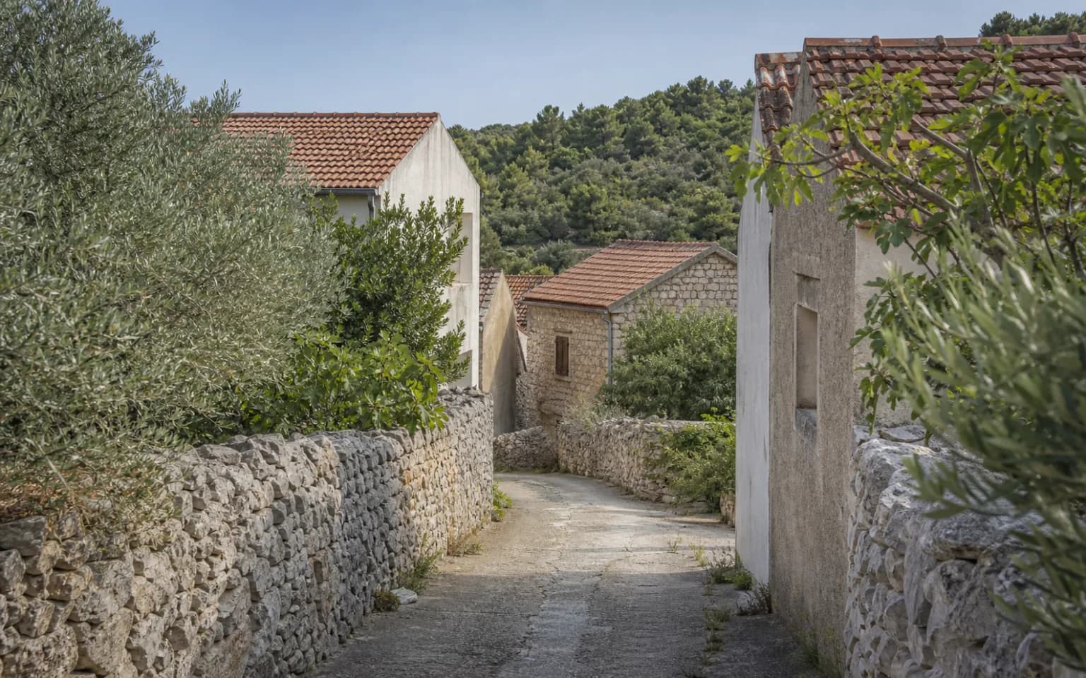 AI-generated illustrative quiet island lane with uneven stone walls, modest homes, clay roofs and olive trees in the Zaglav setting.