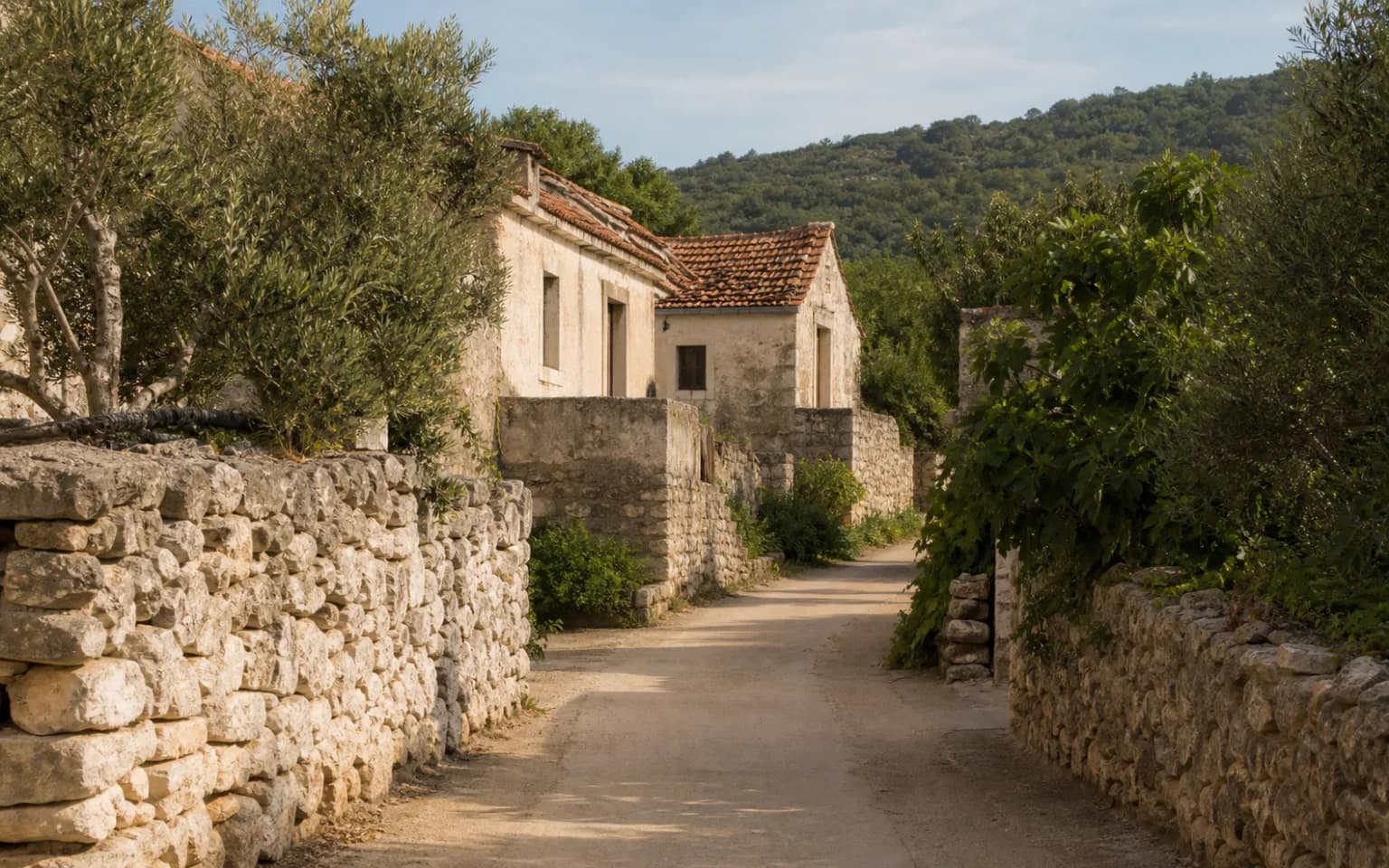 KI-generierte illustrative ruhige Inselgasse mit unregelmäßigen Steinmauern, schlichten Häusern, alten Ziegeldächern, Olivenbäumen und Feigenbaum im Ambiente von Žman.
