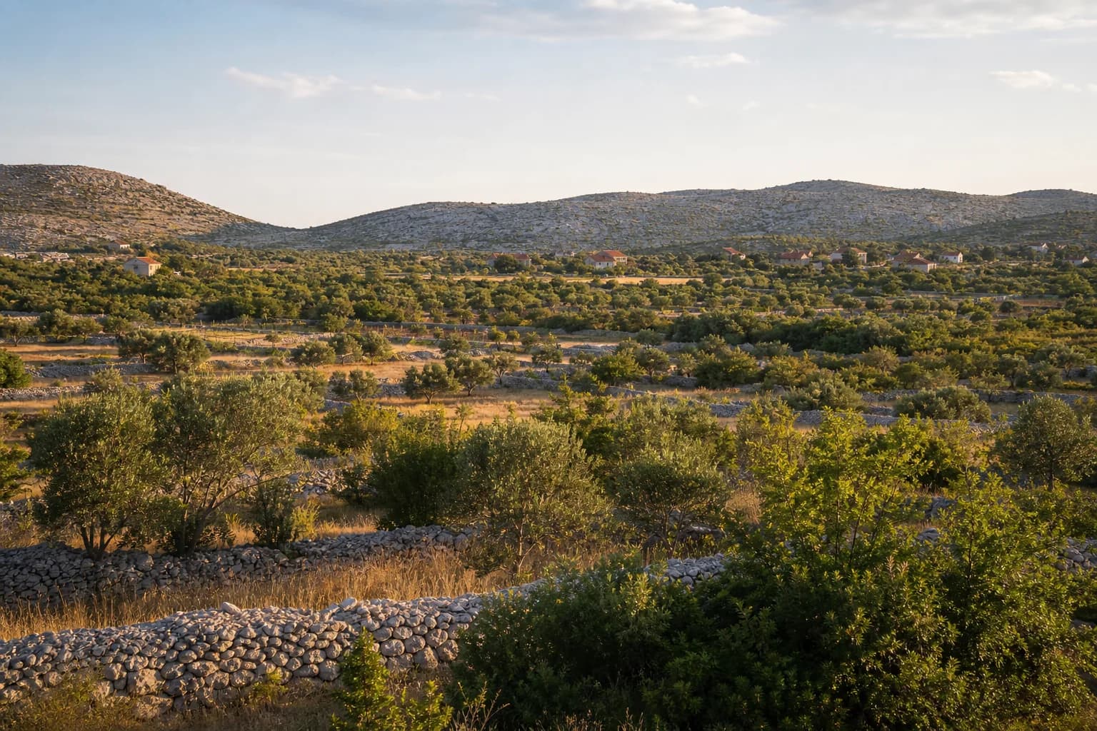 Illustratives Foto für Prkos, Škabrnja: weiter Blick auf eine offene dalmatinische Hinterlandlandschaft.