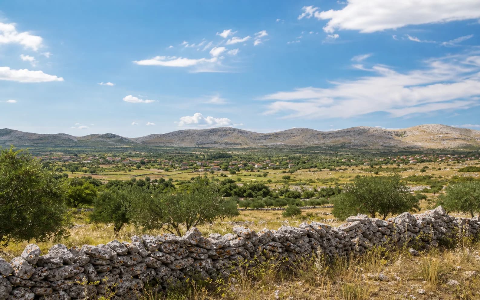 Illustrative photo for Banjevci, Stankovci: a wide view of an open Dalmatian hinterland landscape.