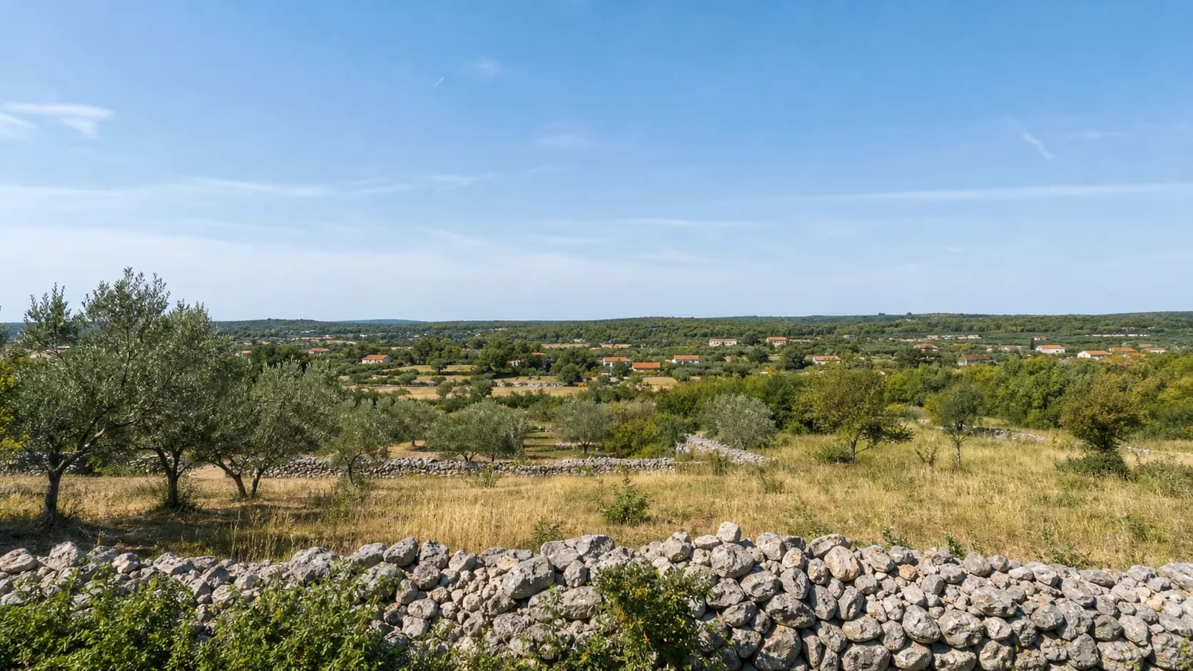 Ilustrativni široki pogled na maslinike, suhozide i raspršene kuće u ruralnom krajoliku Babinduba.