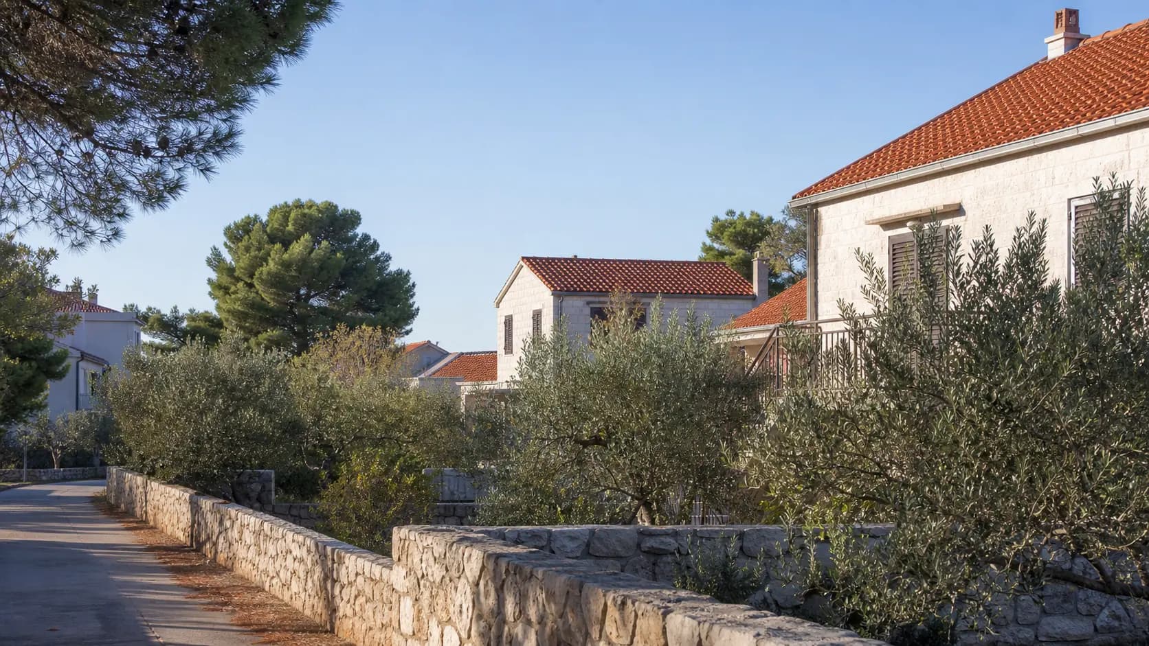 AI-generated illustrative view of low-density homes, stone walls, and olive trees in the local context of Kožino.