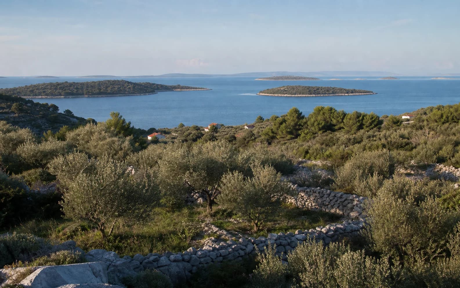 Ilustrativna fotografija za Rava, Zadar: široki pogled na otočni krajolik.