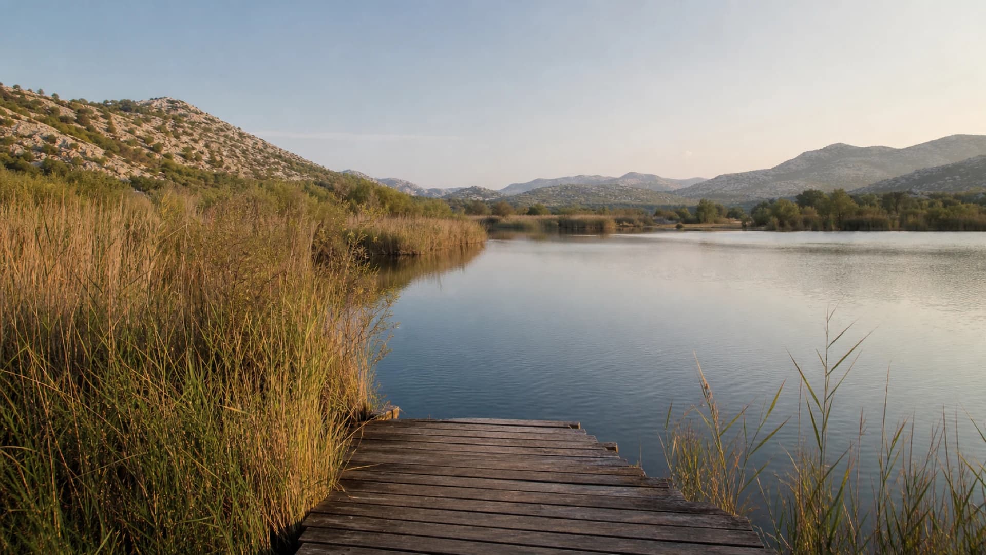 Ilustrativni drveni podest uz trsku i mirno jezero s niskim kamenitim brežuljcima u daljini.
