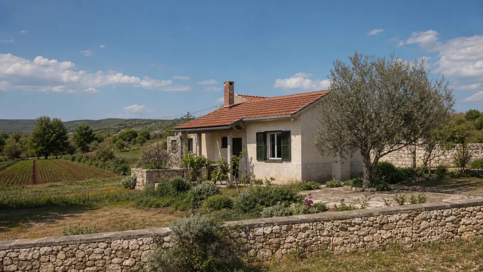 Illustrative exterior of a family home with an olive tree and field in Benkovačko Selo’s rural setting.