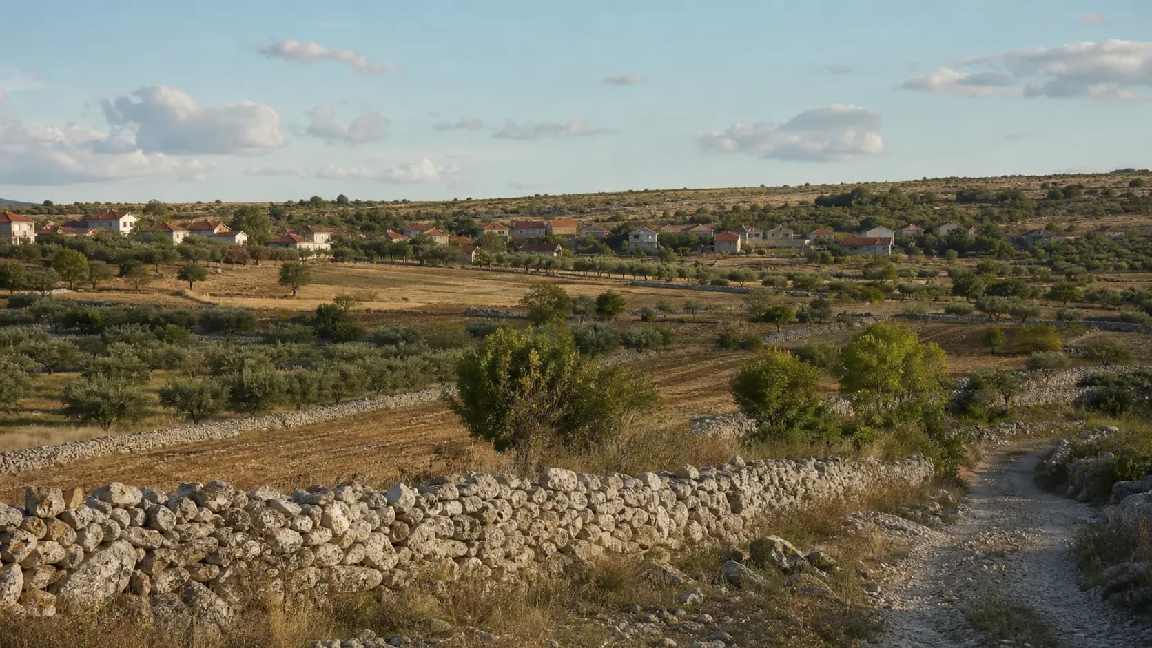 Illustrative wide view of fields, olive trees, dry-stone walls and a settlement in Bjelina’s rural landscape.
