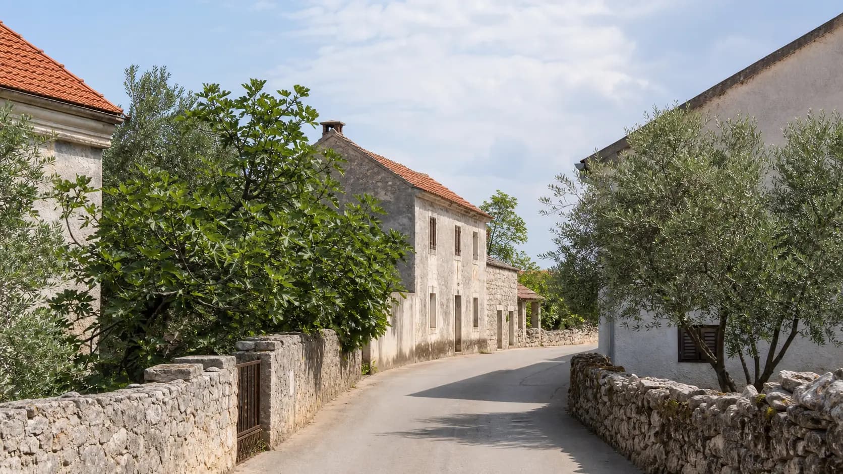Illustrative quiet village lane in Bjelina, with stone homes, dry-stone walls and Mediterranean greenery.
