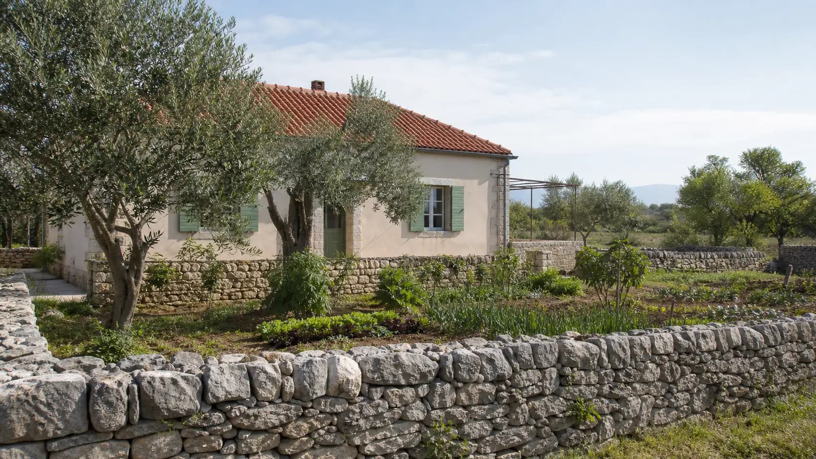 Illustrative exterior of a family home with olive trees and a vegetable garden in Bjelina’s rural setting.