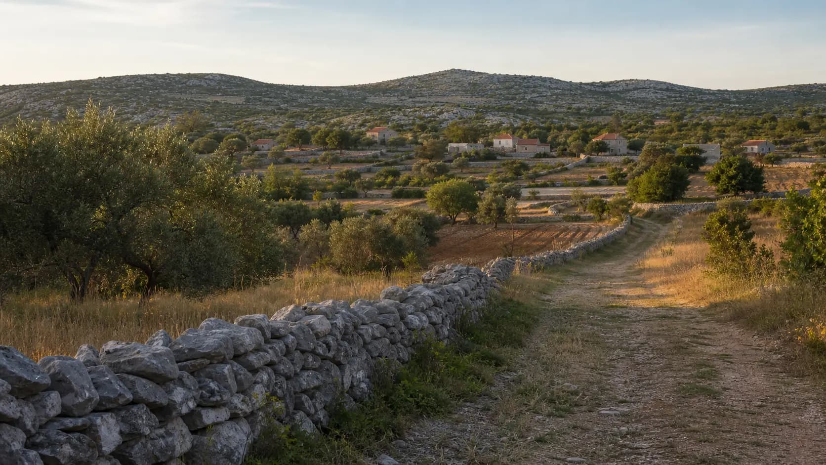 Illustrative wide view of karst terrain, olive trees, dry-stone walls and scattered homes around Dobra Voda near Benkovac.