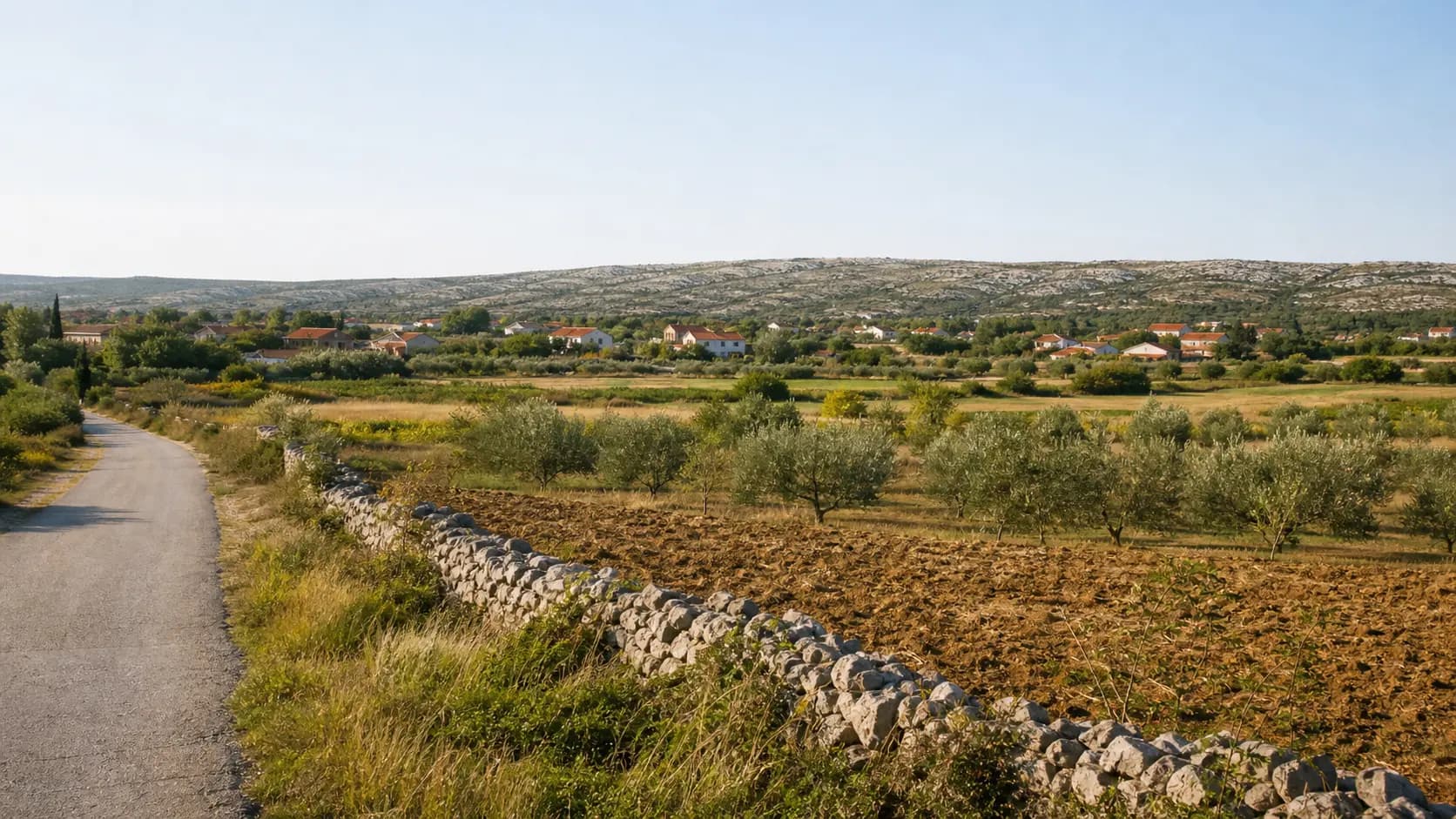Illustrative wide view of fields, olive groves, a dry-stone wall and low karst slopes in the Donje Biljane setting.