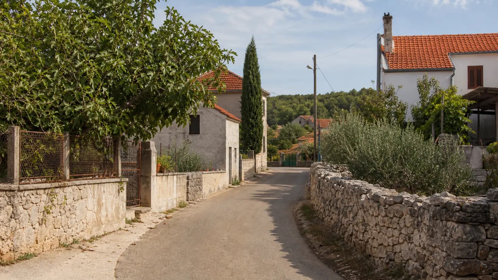 Illustrative quiet village lane with stone walls, fig trees, olive trees and family homes in Donje Biljane.