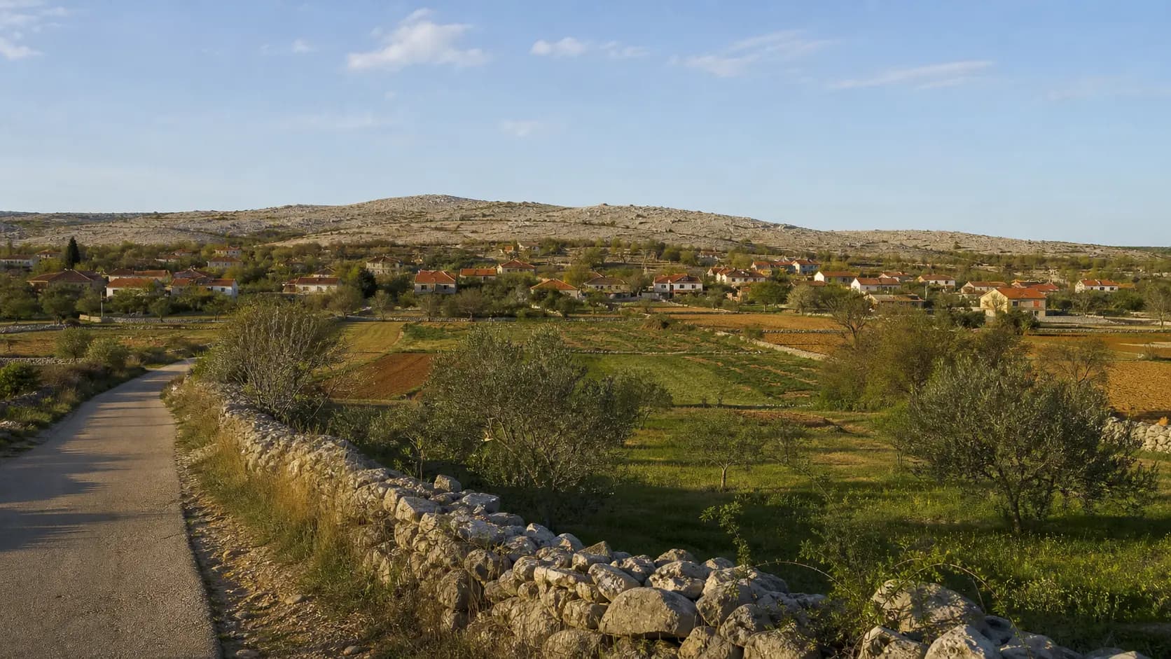 Illustrative wide view of Ravni Kotari fields, olive trees, dry-stone walls and a settlement below a low karst rise in the Donje Ceranje setting.