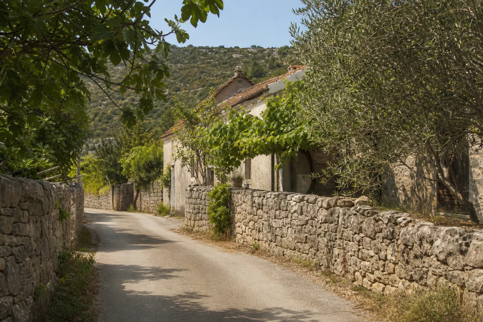 AI-generated illustrative quiet village lane beside dry-stone walls, olive trees and modest homes in the Kula Atlagić setting.