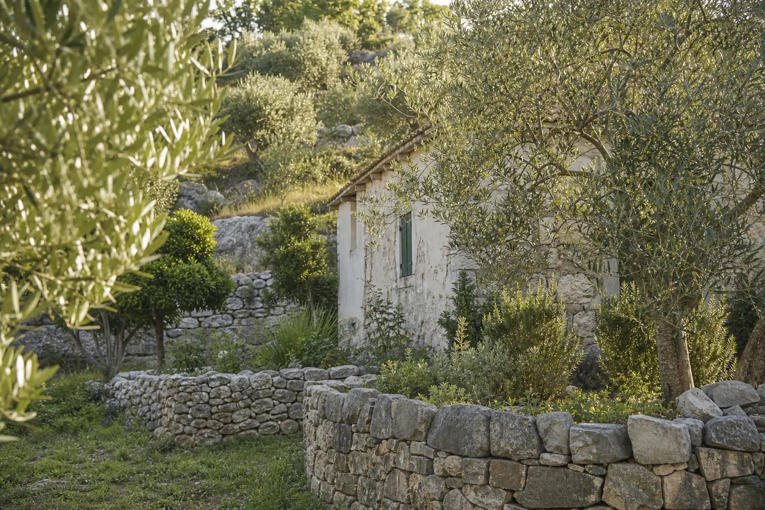 AI-generated illustrative modest stone exterior in an olive and rosemary garden in the Kula Atlagić setting.