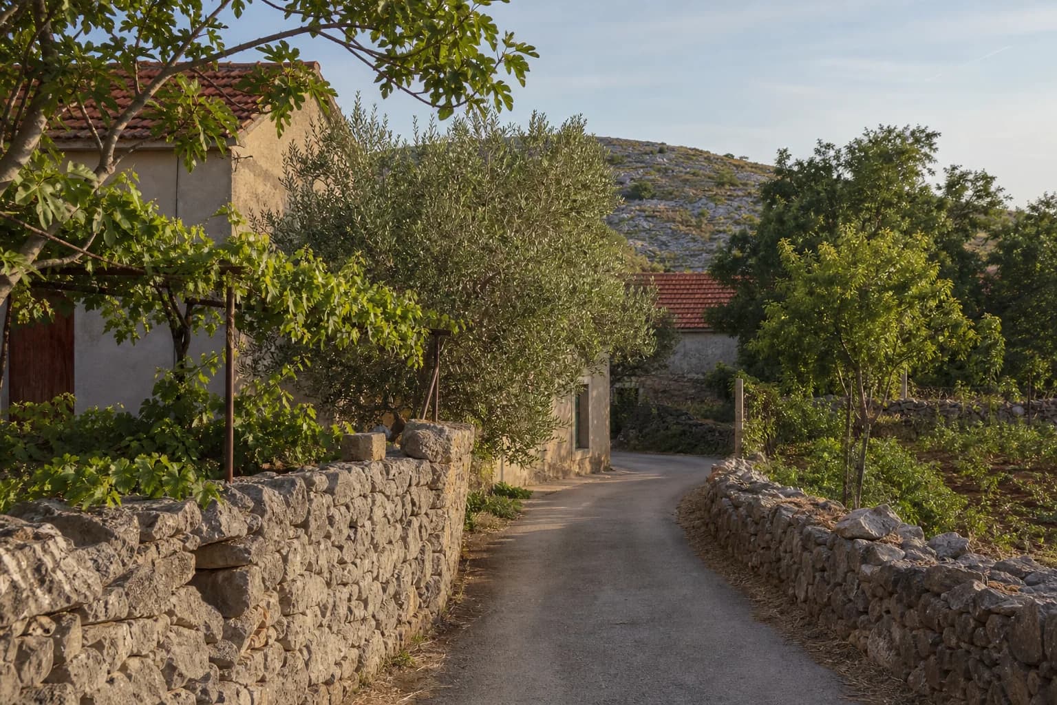 AI-generated illustrative village lane beside dry-stone walls, grapevine and olive trees in the Miranje setting.