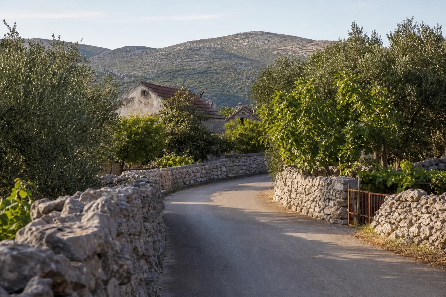 AI-generated illustrative village lane beside dry-stone walls, olive trees and greenery in the Rodaljice setting.