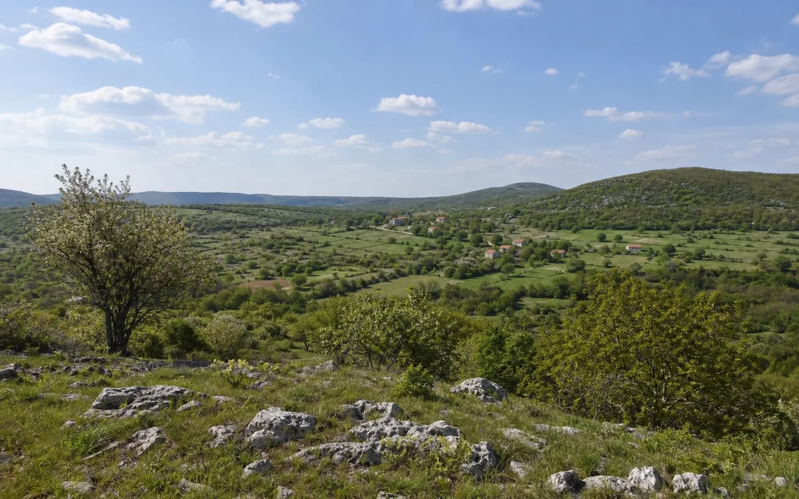 Illustrative photo for Kunovac Kupirovački, Gračac: a wide view of an open highland landscape.