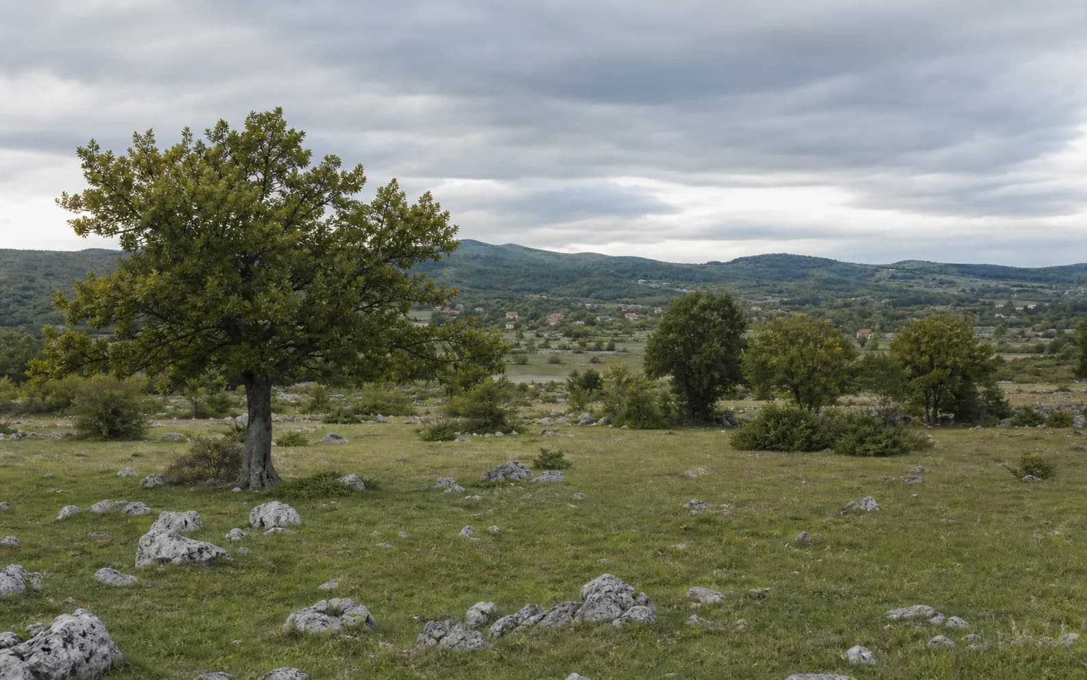 Illustrative photo for Zaklopac, Gračac: a wide view of an open highland landscape.