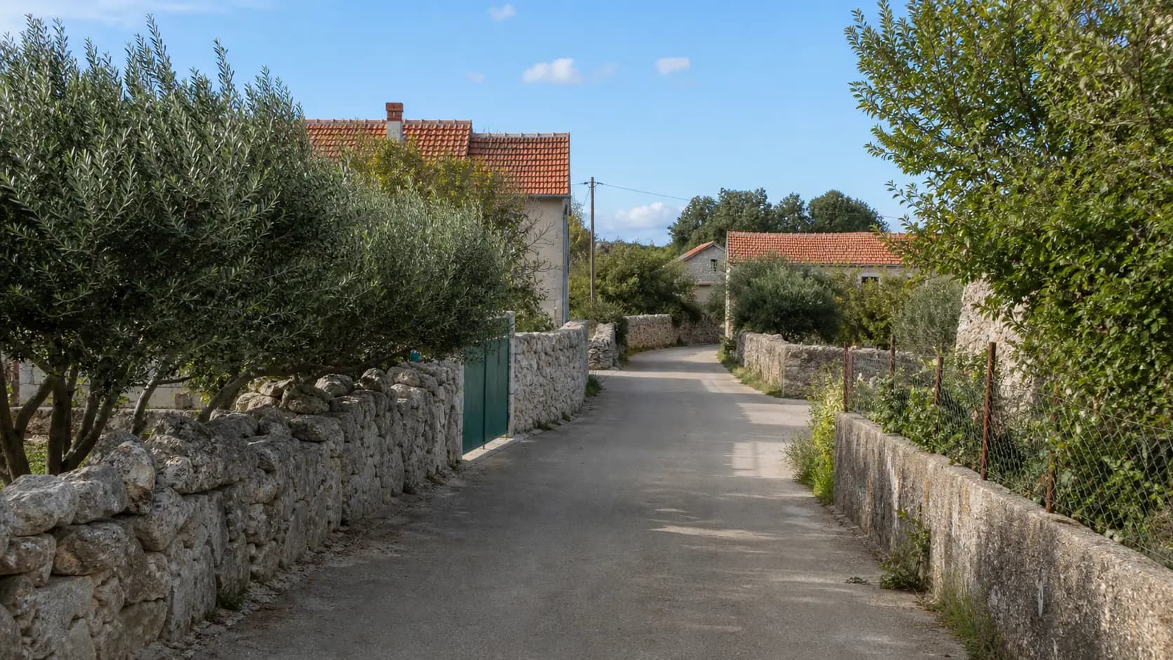 KI-generierte illustrative Ansicht einer ruhigen dalmatinischen Gasse mit Steinmauern, Olivenbäumen und Häusern in Ninski Stanovi.
