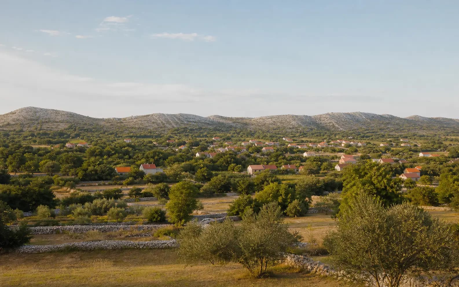 Illustrative photo for Paljuv, Novigrad: a wide view of an open Dalmatian hinterland landscape.