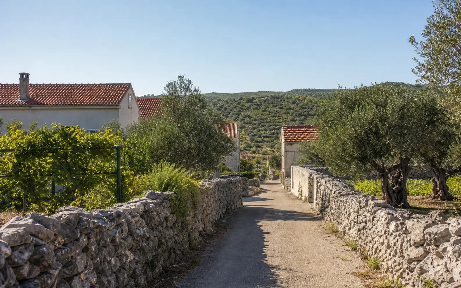 Illustrative photo for Paljuv, Novigrad: a quiet village street with natural stone details.