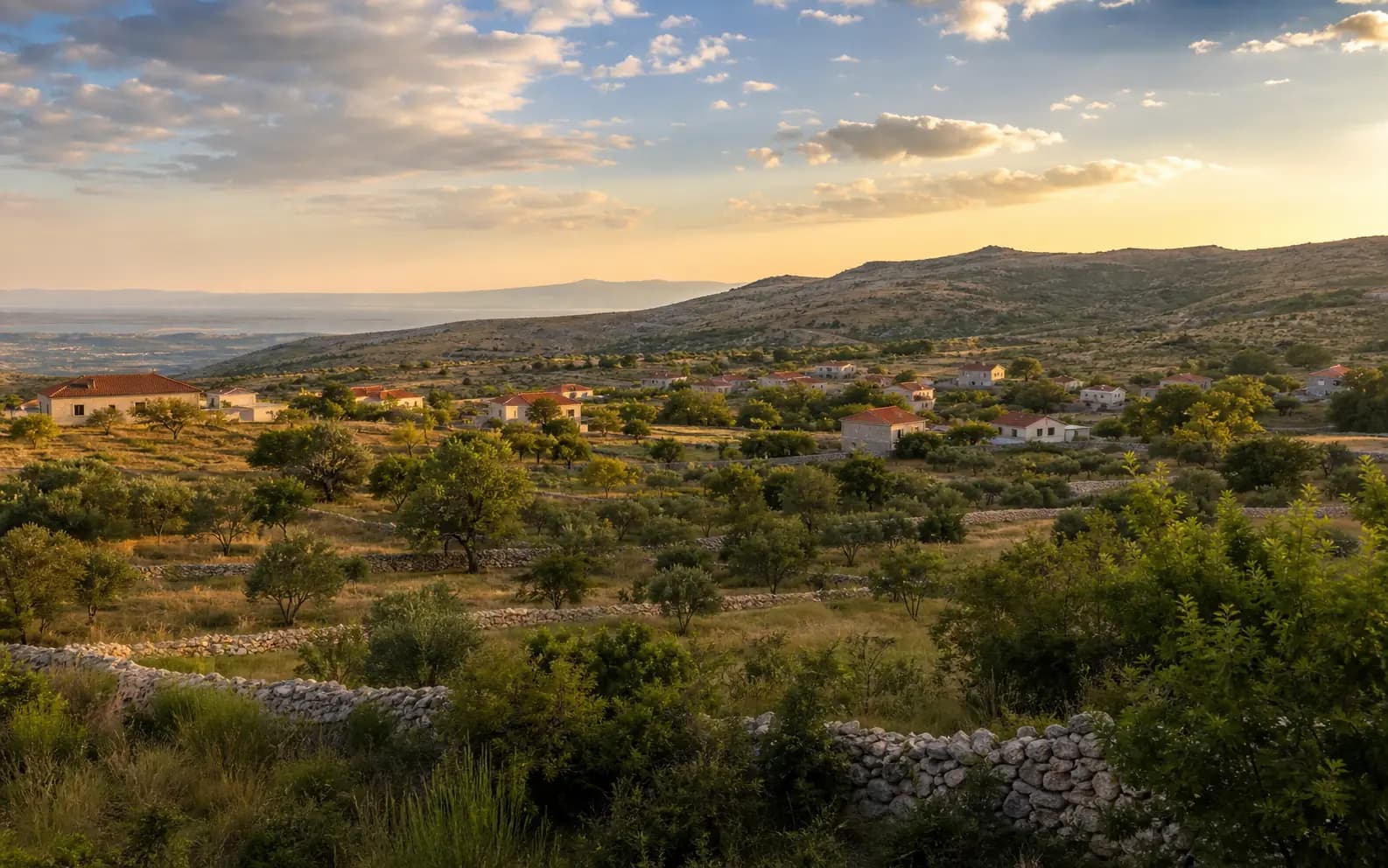 Illustrative photo for Pridraga, Novigrad: a wide view of a coastal landscape.