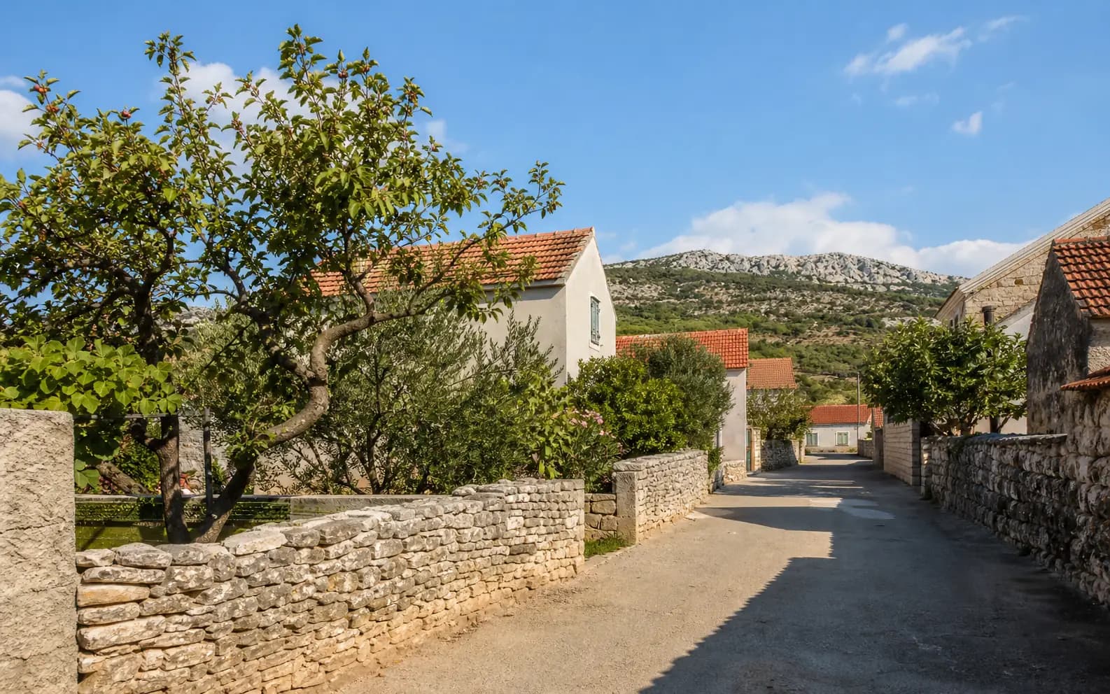 Illustrative photo for Pridraga, Novigrad: a quiet street in a Mediterranean coastal setting.